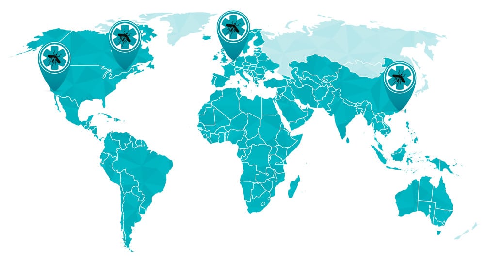 our Local Regional Offices around the globe